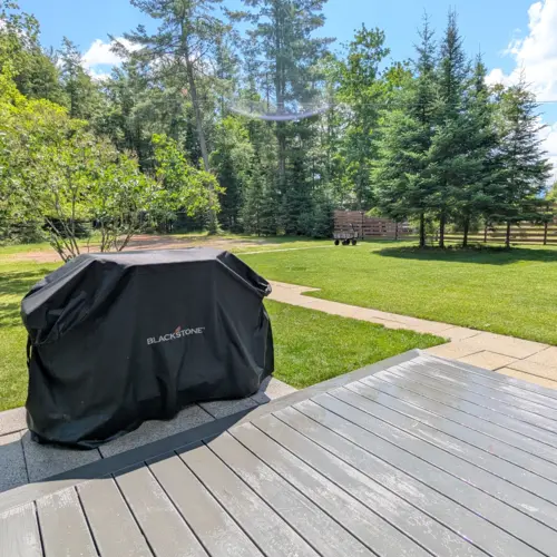 Spacious grassy lawn at our Eagle River vacation rental, providing a safe and fun area for kids to play outdoors by the lake.